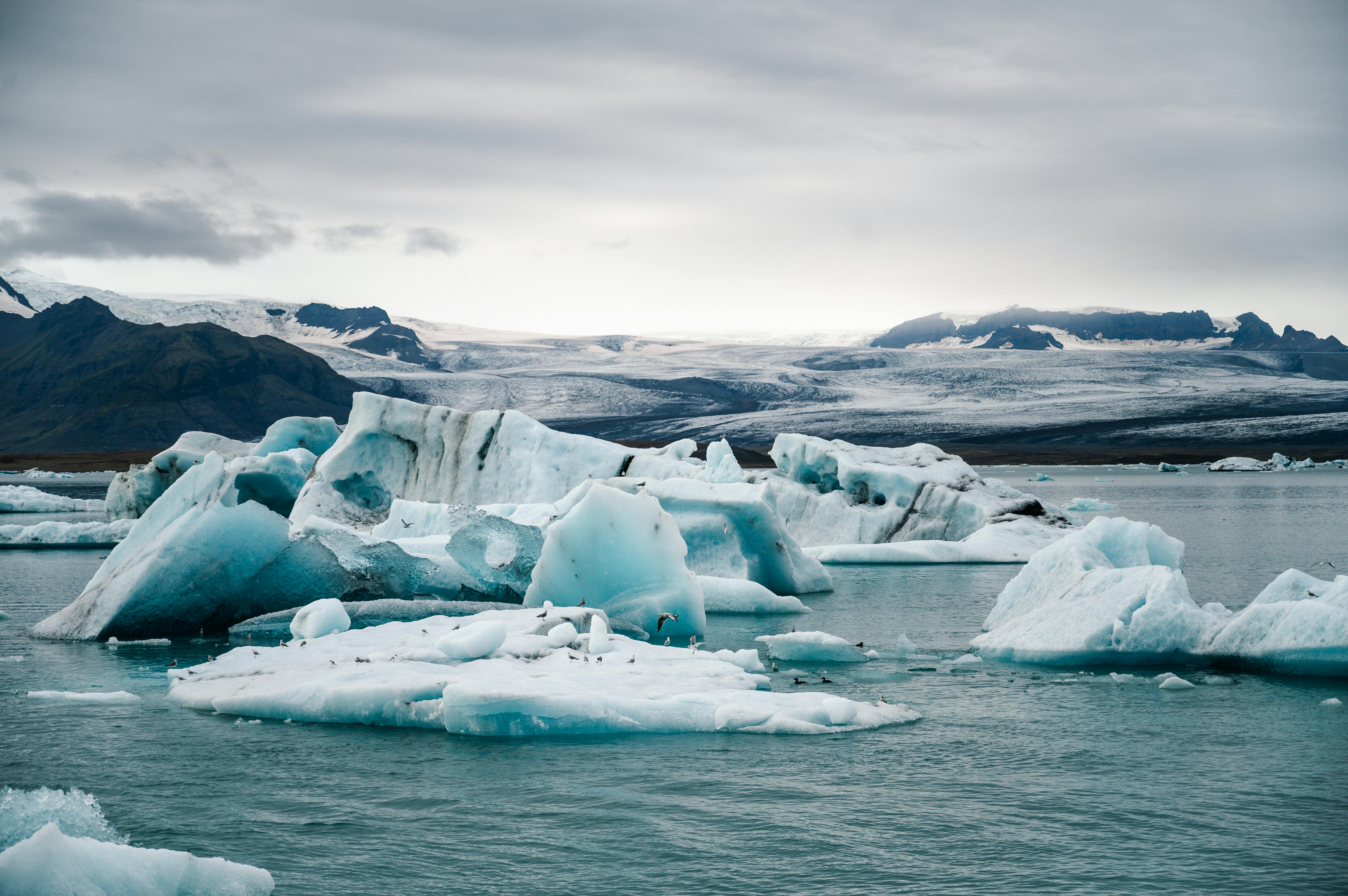 Imagen decorativa de un paisaje glaciar con icebers